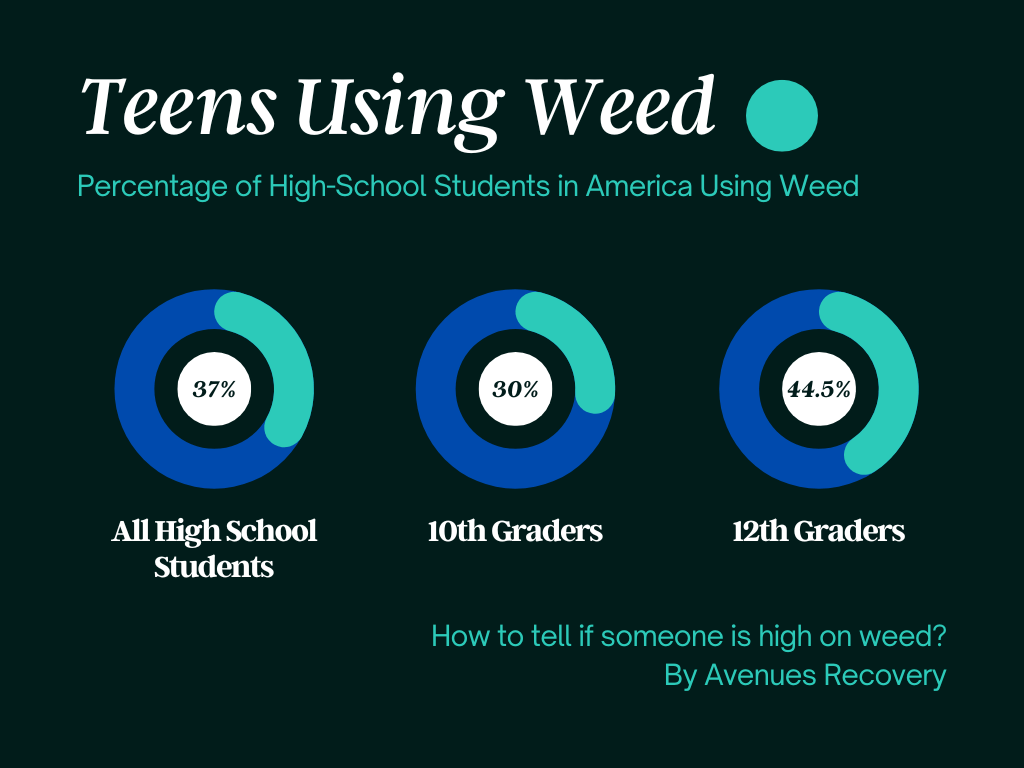 How to Tell if Someone is High on Marijuana Avenues Recovery